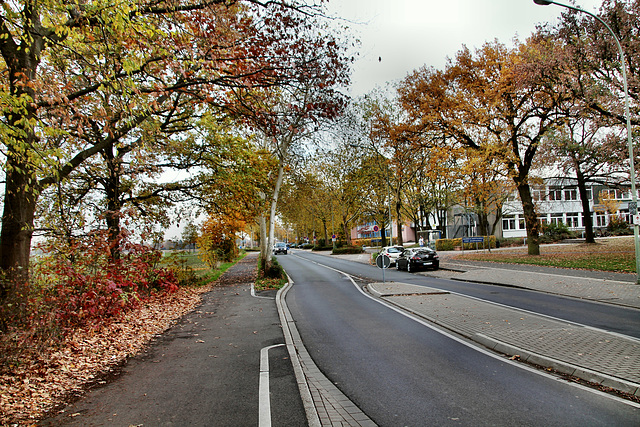 Tersteegenstraße (Neukirchen-Vluyn) / 9.11.2018
