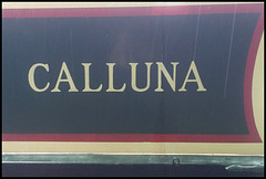 Calluna