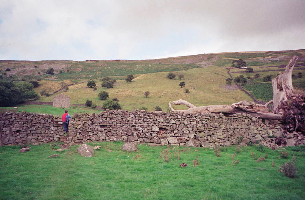 A Squeeze on the footpath near Reeth that circles round up to Fremington Edge. (Aug 1993, scan)