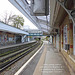 Lewes station platforms 3&4 13 4 2017