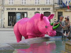 Pink Rhino in Arles  France