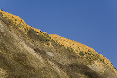 Seatown Yellow Ridge