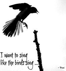 - sing