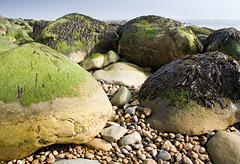 Boulders with seaweed