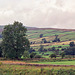 Looking towards Calver Hill (487m) from near Reeth. (Aug 1993, scan)