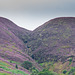 Shining Clough with purple heather under a cloudy sky