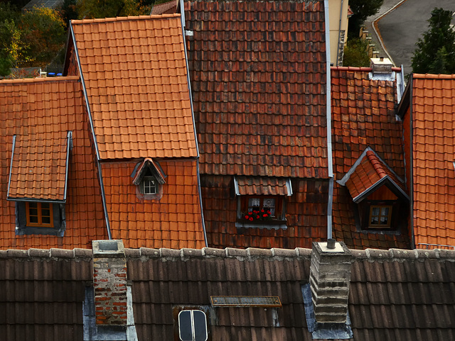 Quedlinburger Dächer- Roofs