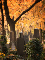 Jüdischer Friedhof Berlin Weißensee. 201811