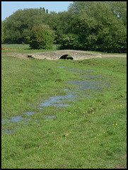 diddy bridge in the meadow