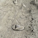 Found Item Mud Sneakers