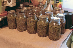 Home Canned Green Beans