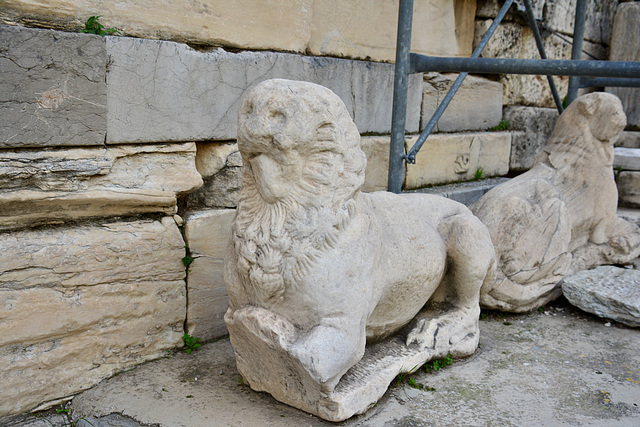 Athens 2020 – Acropolis – Lion