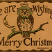 We Are Owl Wishing You a Merry Christmas Even If You Don't Give a Hoot