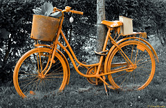 Bicycles in Hasselfelde: 1- Orange