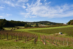 HFF from the Adelaide Hills