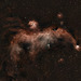 Seagull Nebula IC2177 300mm