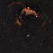 Seagull Nebula IC2177 105mm