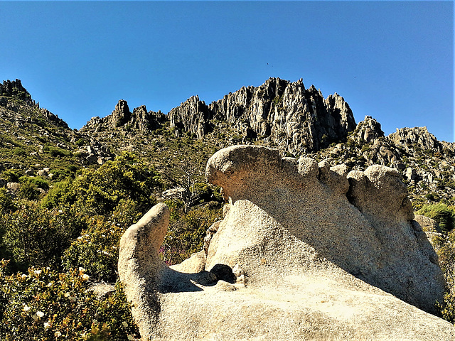 Sierra de La Cabrera granite.