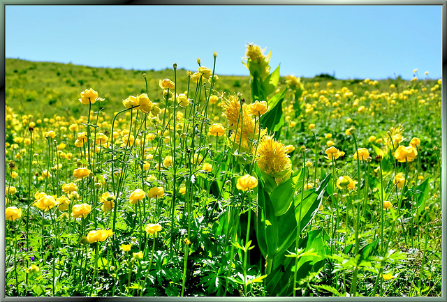 A view into spring... ©UdoSm