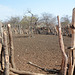 Namibia, Corral for Livestock in the Village of Onjowewe