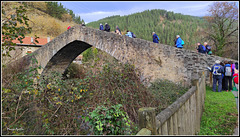 Puente de Otazu y otros puentes sobre el Nervión