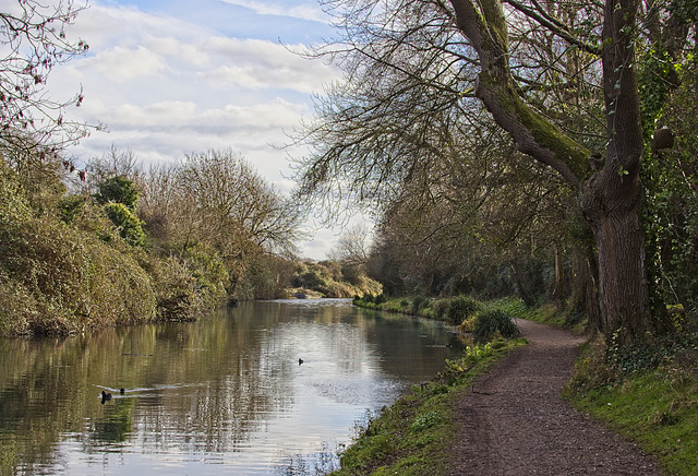 Chichester Canal Tow Path
