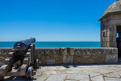 Forte de São Francisco Xavier / Castelo do Queijo ... P.i.P.  (© Buelipix)