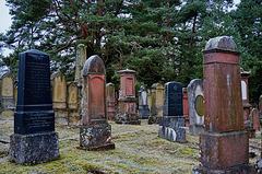 Jüdischer Friedhof: ein Kulturerbe --- Jewish Cemetery: a Cultural Heritage