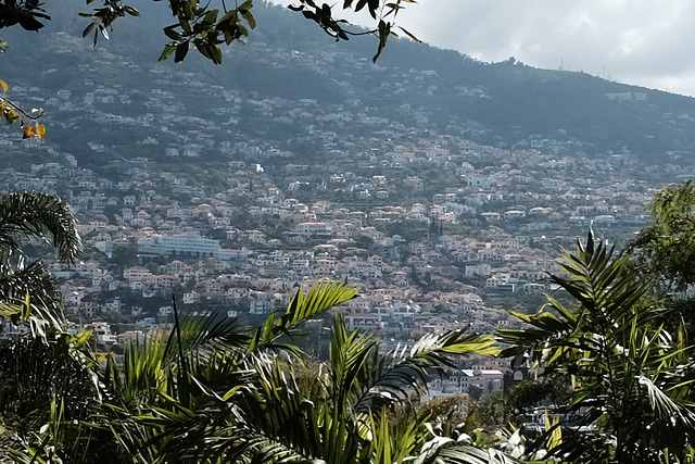 Madeira Funchal May 2016 X100T vs XPro2 toy 1 crop