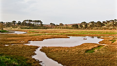 River Otter Estuary, Budleigh Salterton, Devon