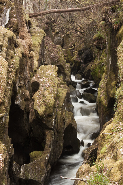 Gorge at Sutherland's Grove