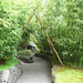 Bamboo Archway At The Butchart Gardens