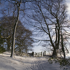 Snowy gateway to heaven