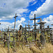 der Berg der Kreuze bei Šiauliai - Litauen (© Buelipix)