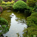 Japanese Garden At The Butchart Gardens