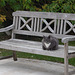 Chat gris sur un banc gris par un matin gris