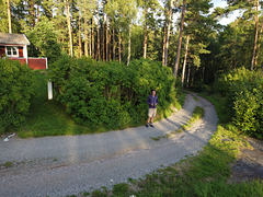 Unweit der Hütte in Schweden. Aufnahme mit Drohne, 5.8. 2023