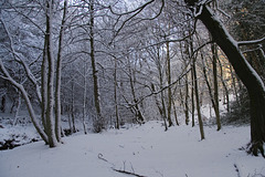Snowy handfasting ground