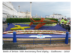 B of B floral display Eastbourne 14 8 2010