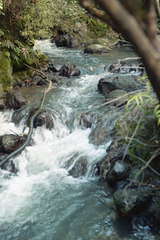Stream in Tongariro National Park