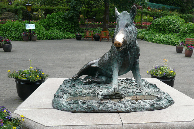 Boar Sculpture At The Butchart Gardens