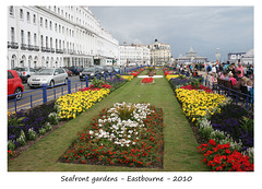 Seafront flower beds Eastbourne 14 8 2010