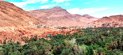 paysage marocain
