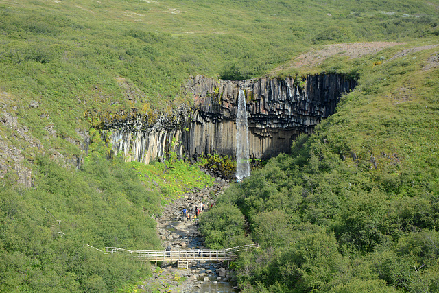 Iceland, Svartifoss Waterfall and Wooden Bridge across the Stream