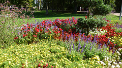 DE - Bad Kreuznach - Blumen im Kurpark