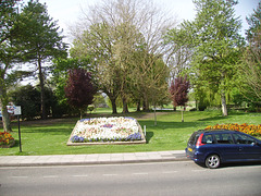 CAS - sal : park flower beds [1 of 3]
