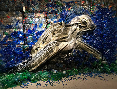 IMG 1168 Street art avec des déchets