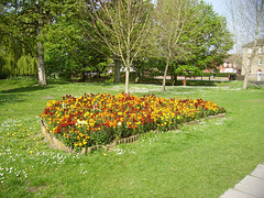 CAS - sal : park flower beds [2 of 3]