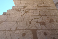 Wall Carvings At The Ramasseum