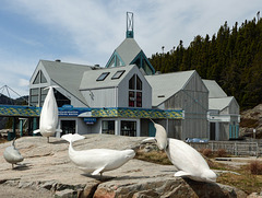 Day 6, Marine Mammal Interpretation Centre, Tadoussac, Quebec